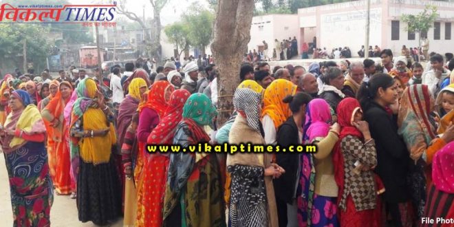 Third final phase voting 29 Jan gangapur city Sawai Madhopur