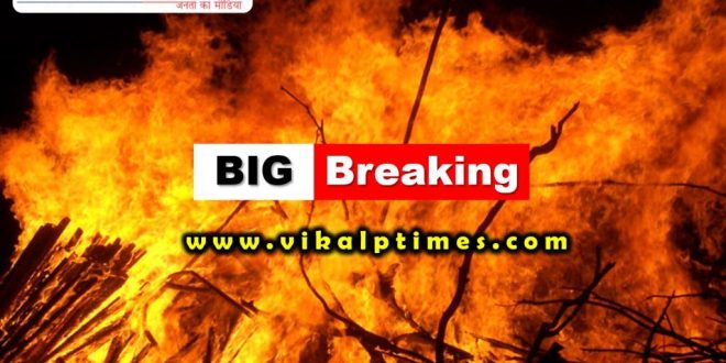 Case fire Ranthambore forest area