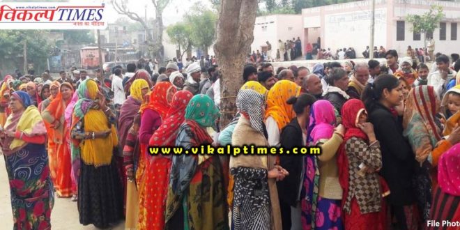 Election Panch Sarpanch 34 Panchayats 15 March Sawai Madhopur