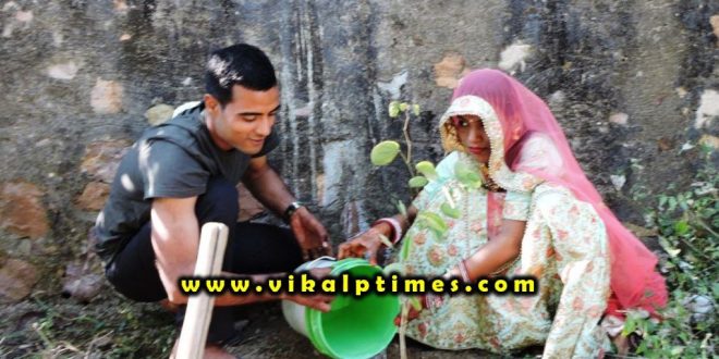 Plantation done marriage Ranthambore Sawai madhopur