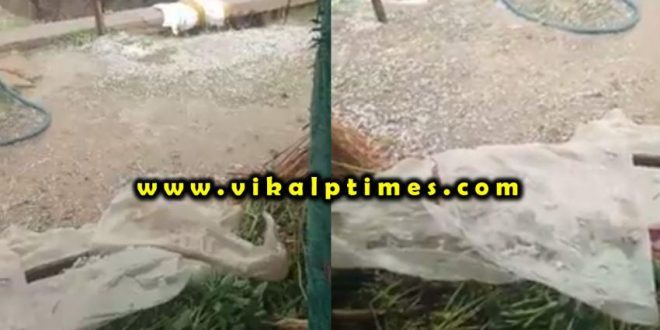 The weather has changed. Rain hail Khandar Bamanwas region