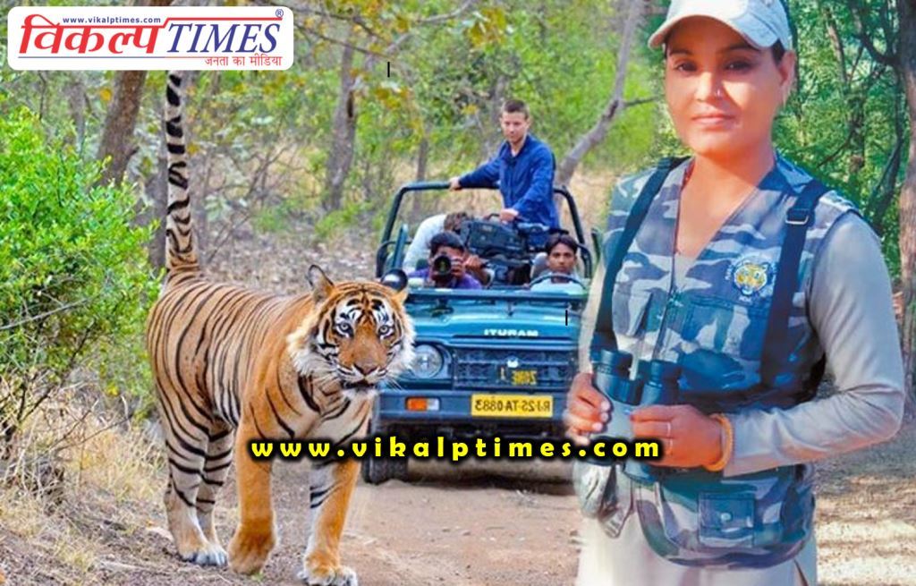 sawai madhopur lady nature guide suraj bai in ranthambore national park tiger