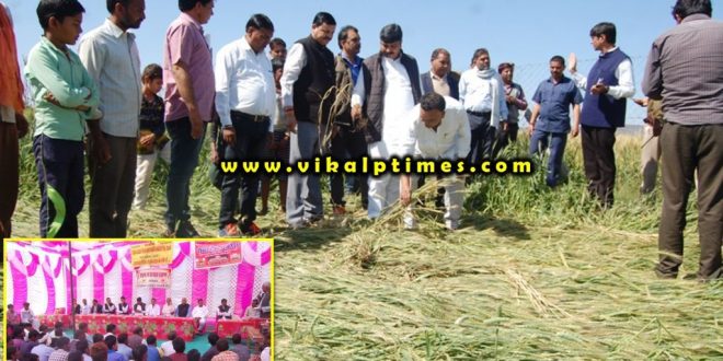State government farmers hour crisis hailstorm Sawai Madhopur