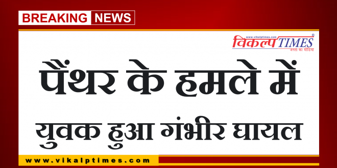 Youth injured Panther attack bonli