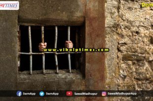 Police arrested 14 accused from Sawai madhopur