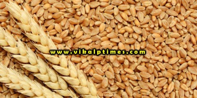 Wheat procurement district April 25