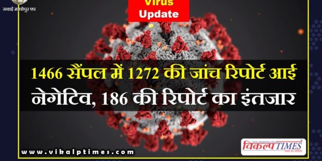 corona suspect report samples came negative sawai madhopur