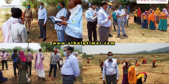 Collector did inspection of NREGA works Sawai Madhopur