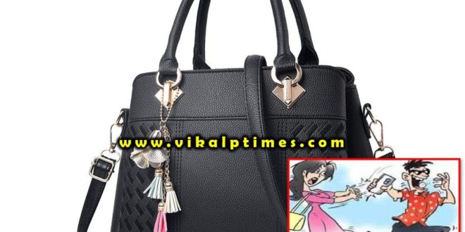 Robbers stole purses broad daylight bamanwas Sawai Madhopur