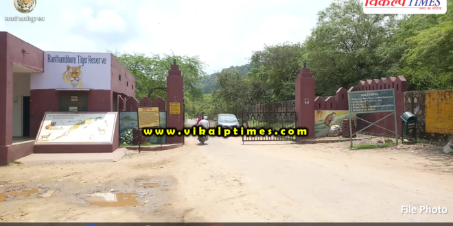 Section 144 apply stop illegal grazing ranthambore national park