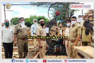 55 quintals illegal wood seized