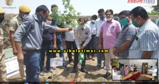 Corona awareness compaign collector plantation tree Sawai Madhopur