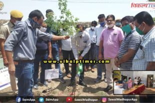 Corona awareness compaign collector plantation tree Sawai Madhopur