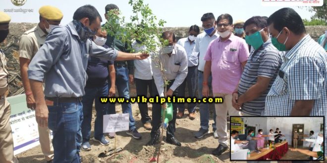 Corona awareness compaign collector plantation tree Sawai Madhopur