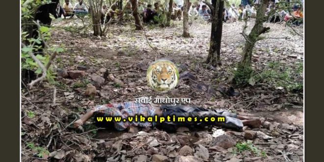 Dead body of young man found in forest