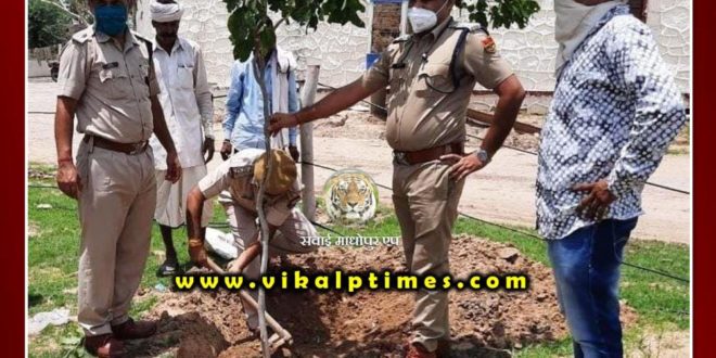 Plantation done in Bamanwas police station premises