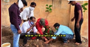 Plantation done in schools