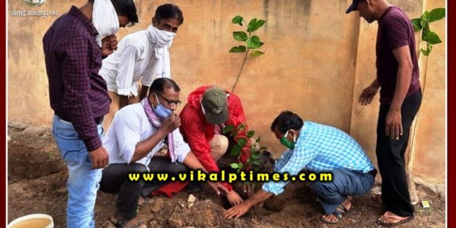 Plantation done in schools