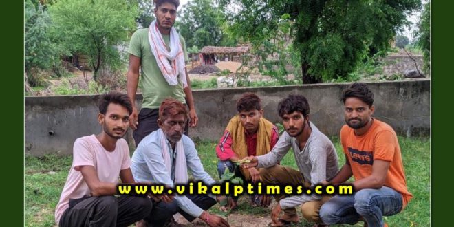 Planting occasion Hariyali Amavasya