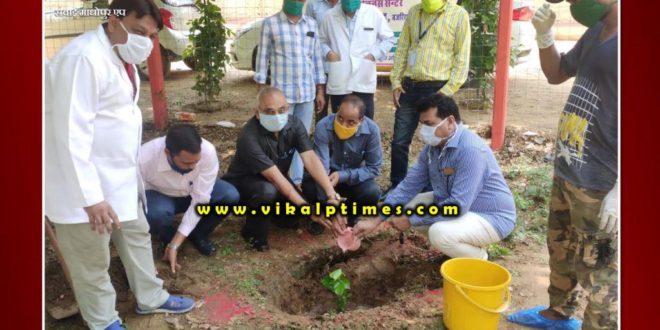 UPHC plans to plant 101 trees in Bajaria Sawai Madhopur
