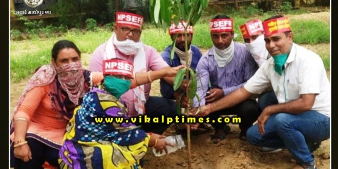 Campaign started in the name of old plant pension