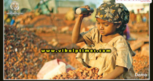 Child laborers got free from child labor