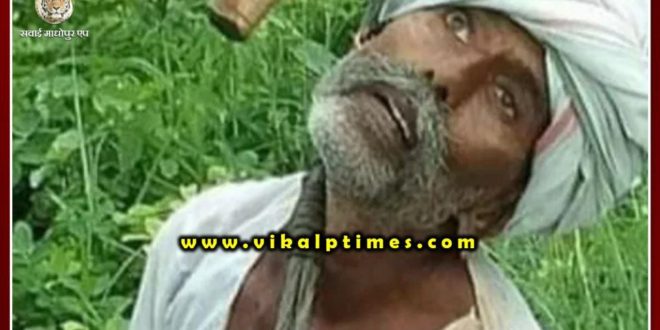 Farmer working on farm dies due to sticking to electric wire