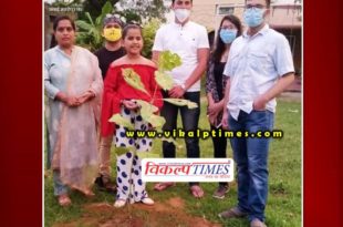 Lakshraj Foundation planted tree