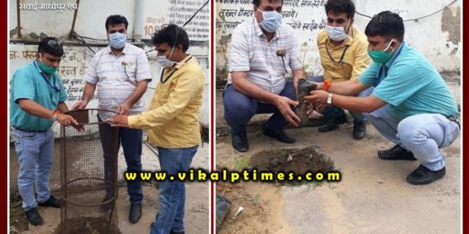 Plantation done in Medical and Health Department Sawai Madhopur