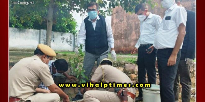 Plantation done under tree plantation campaign
