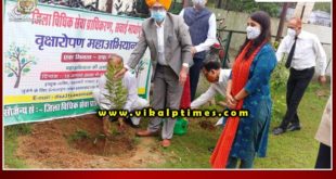 Plantation mega campaign started on Independence Day
