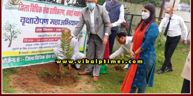 Plantation mega campaign started on Independence Day
