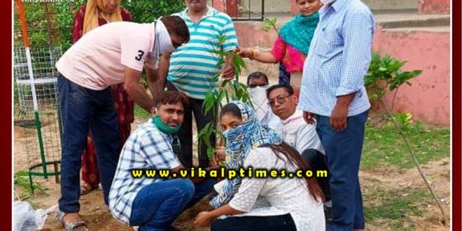 Plantation program organized in school