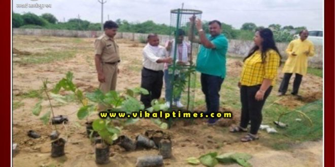 Planting done in circle rural office