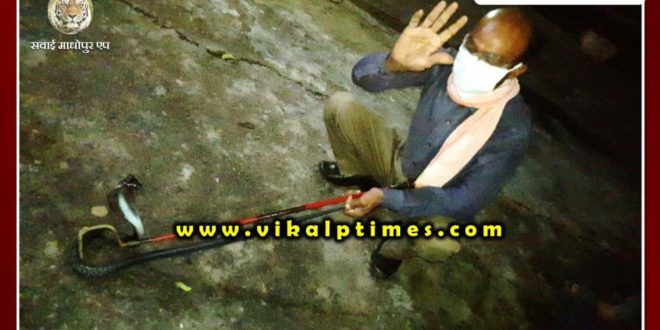 Snake rescue done from Sawai Madhopur district jail