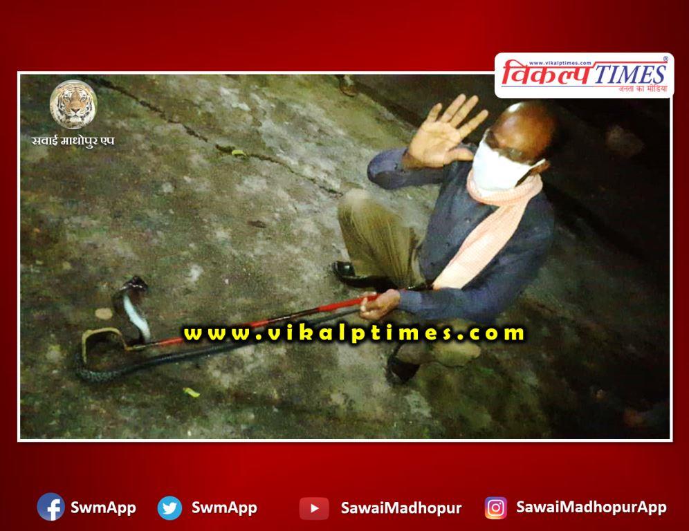 Snake rescue done from Sawai Madhopur district jail