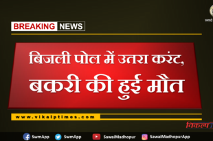 goat died due to electricity current in bonli