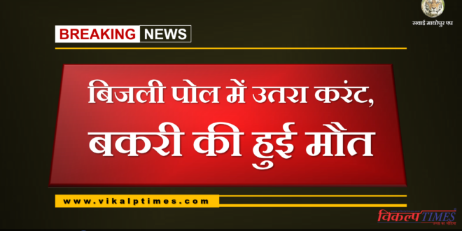 goat died due to electricity current in bonli
