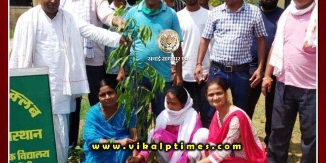 plantation done by Youth in government school