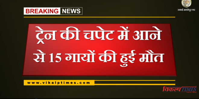 15 cows died after being hit by train