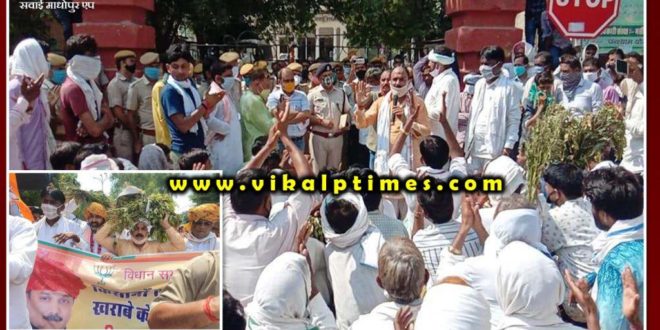Memorandum submitted to the Collector seeking compensation for crop damage