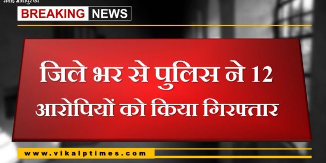 Police arrested 12 accused from sawai madhopur