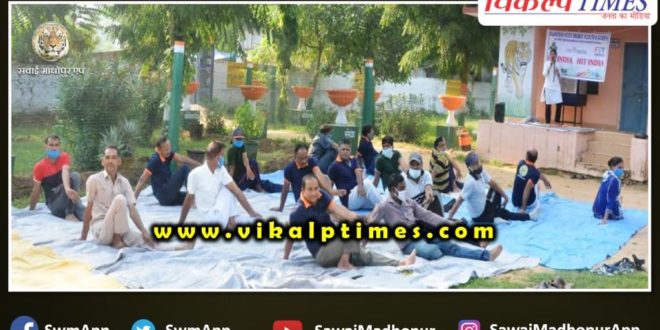 Scout guide yoga Sawai Madhopur