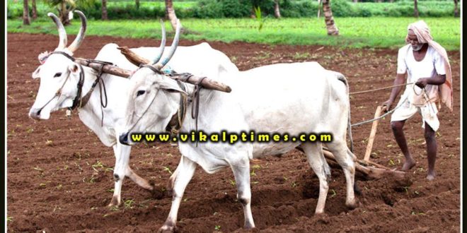 Congress's signature campaign against agricultural bill