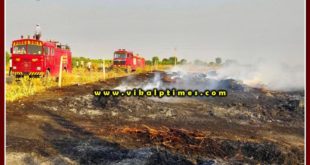 Fodder stock burnt due to fire in the field at Sawai madhopur