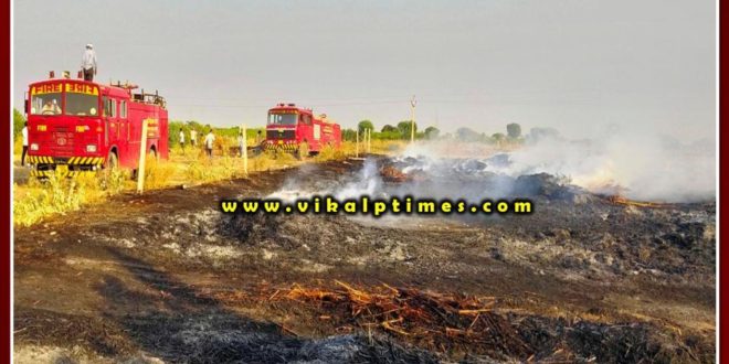 Fodder stock burnt due to fire in the field at Sawai madhopur