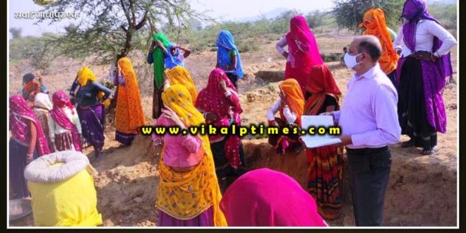 Collector did surprise inspection of NREGA works in Sawai Madhopur