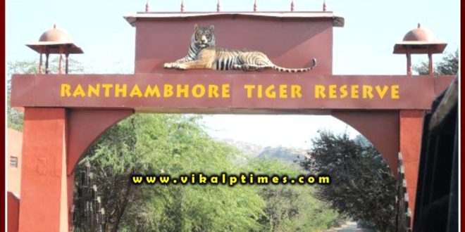 Control room set up to prevent forest and wildlife crimes in Ranthambore National Park