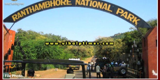 Ranthambore National Park, tigers earn lakhs. But no plan for the betterment of tigers