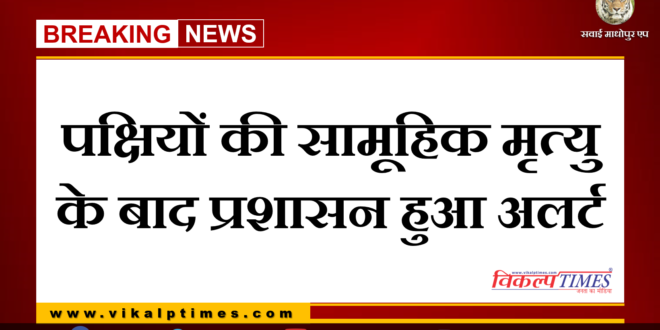 Administration alerts after mass death of birds in Sawai Madhopur